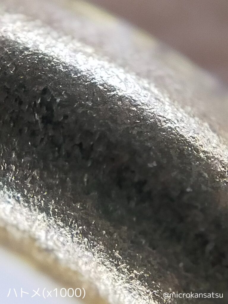 ハトメ
