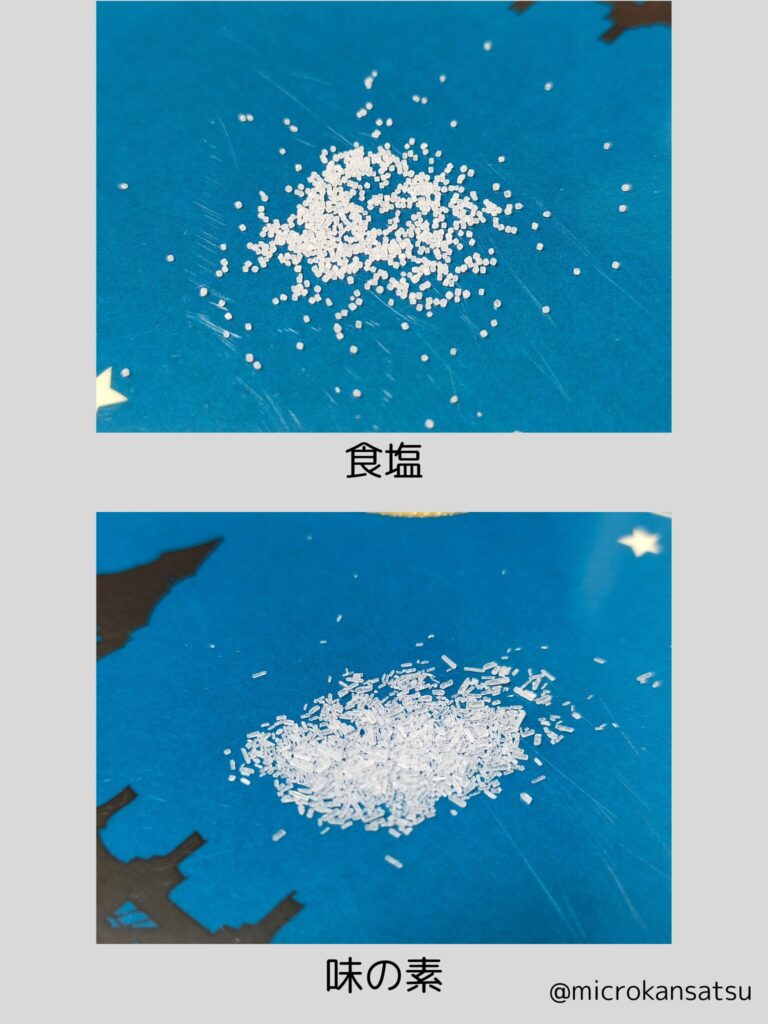 粒子