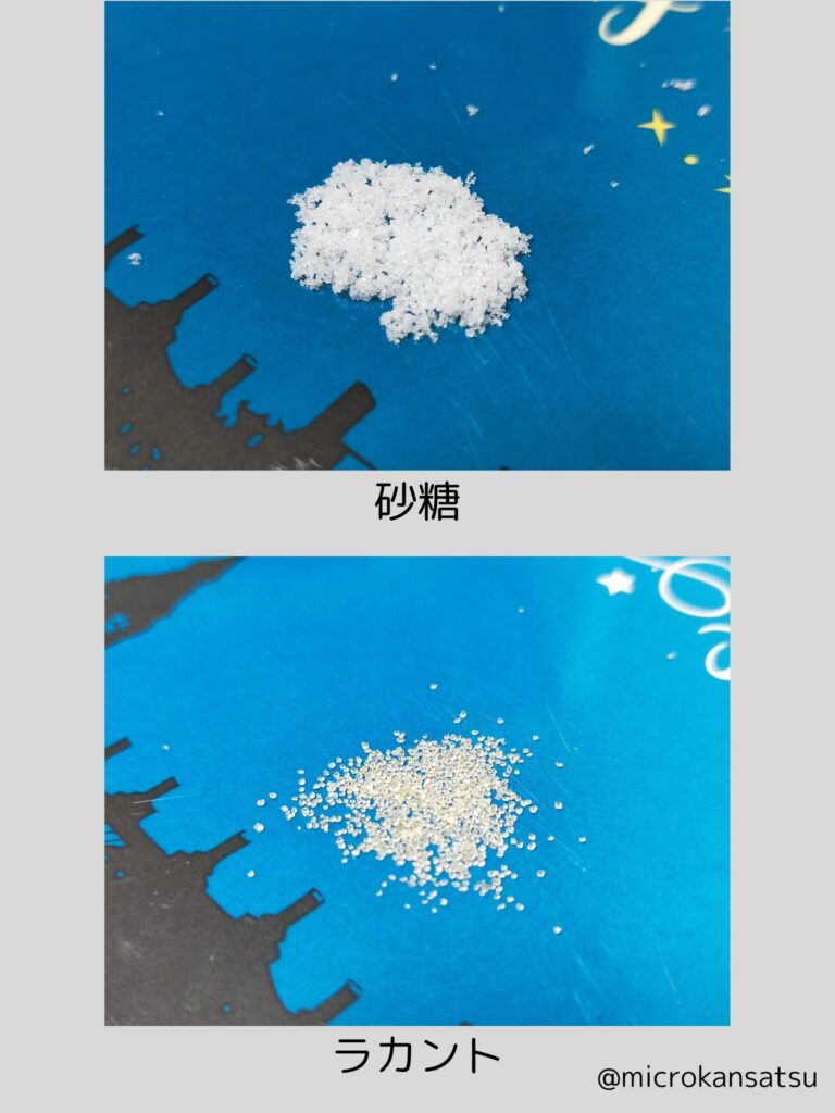 粒子