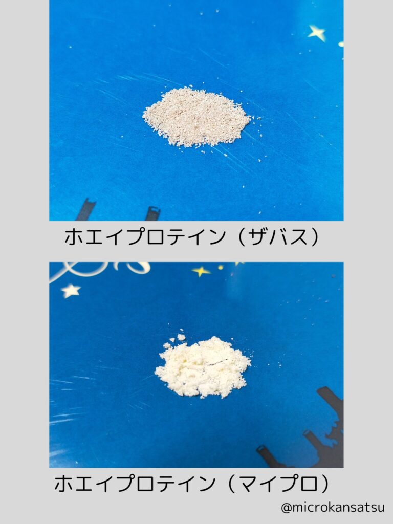 プロテイン粉末