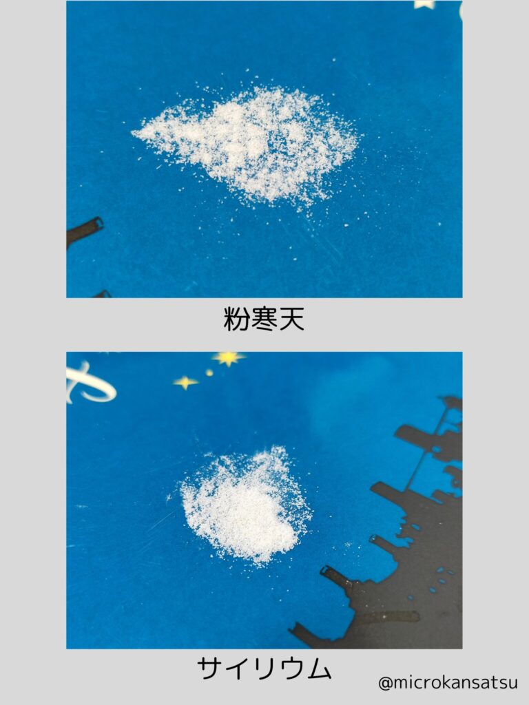 粒子
