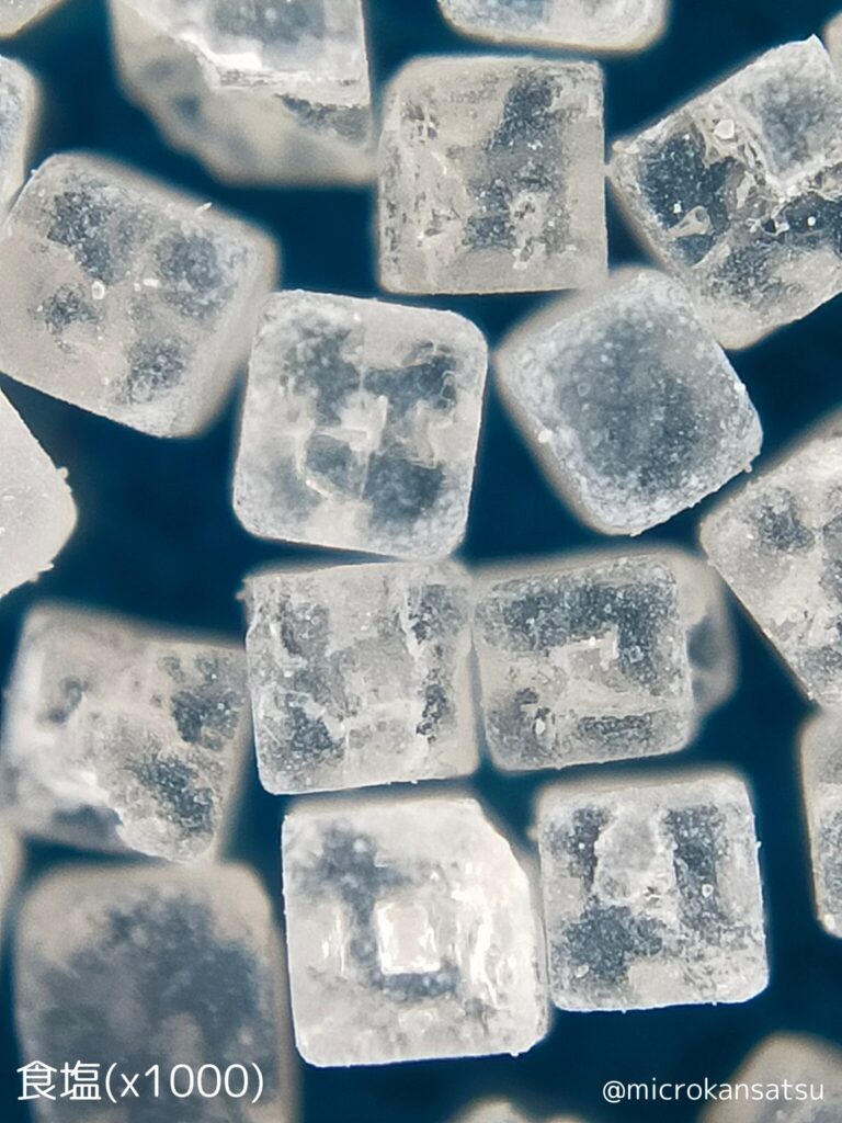 塩
