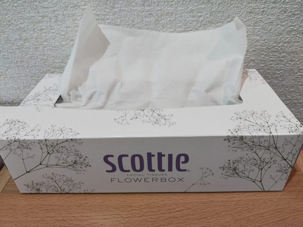 ティッシュ