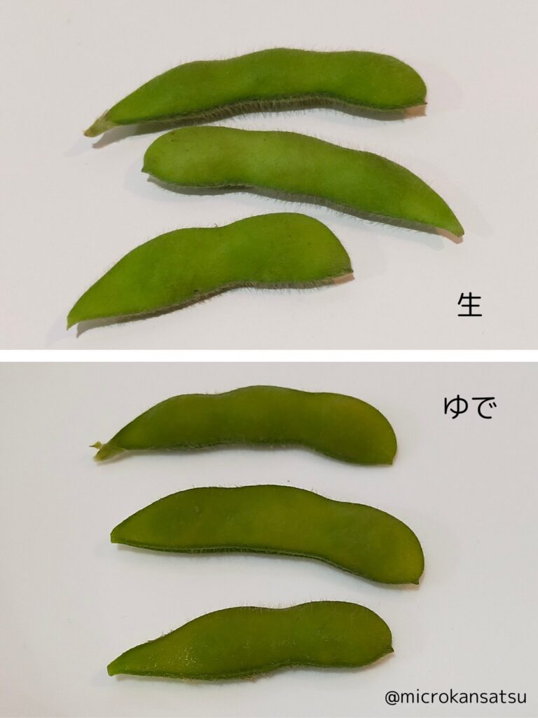 枝豆