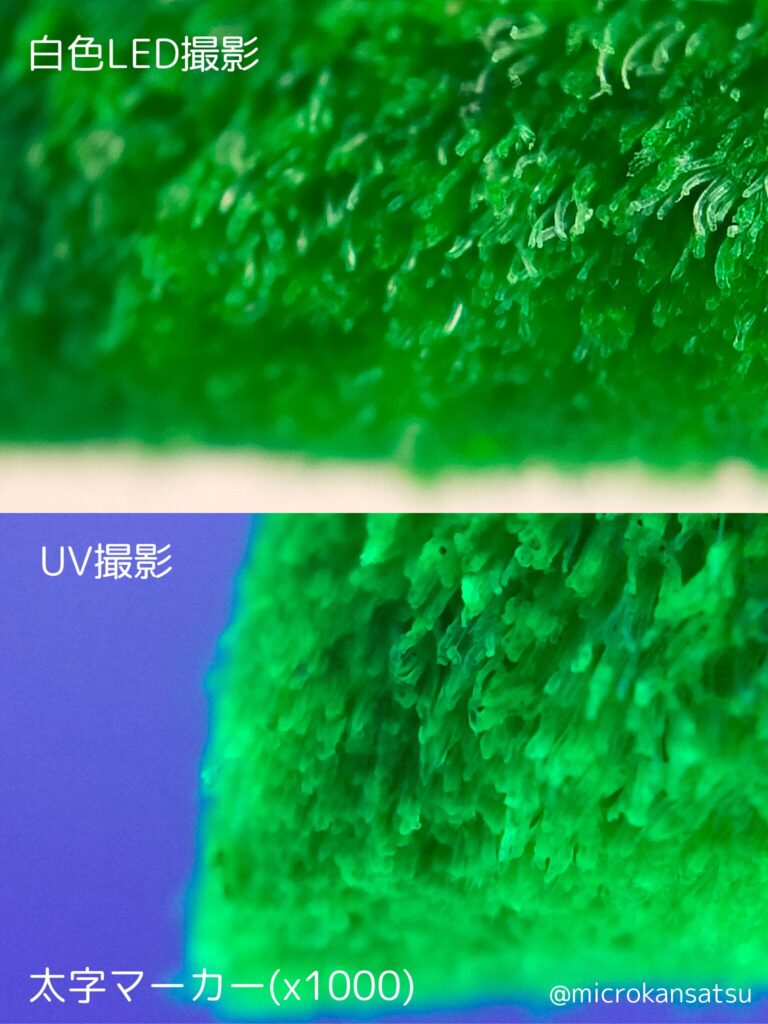 蛍光ペン先