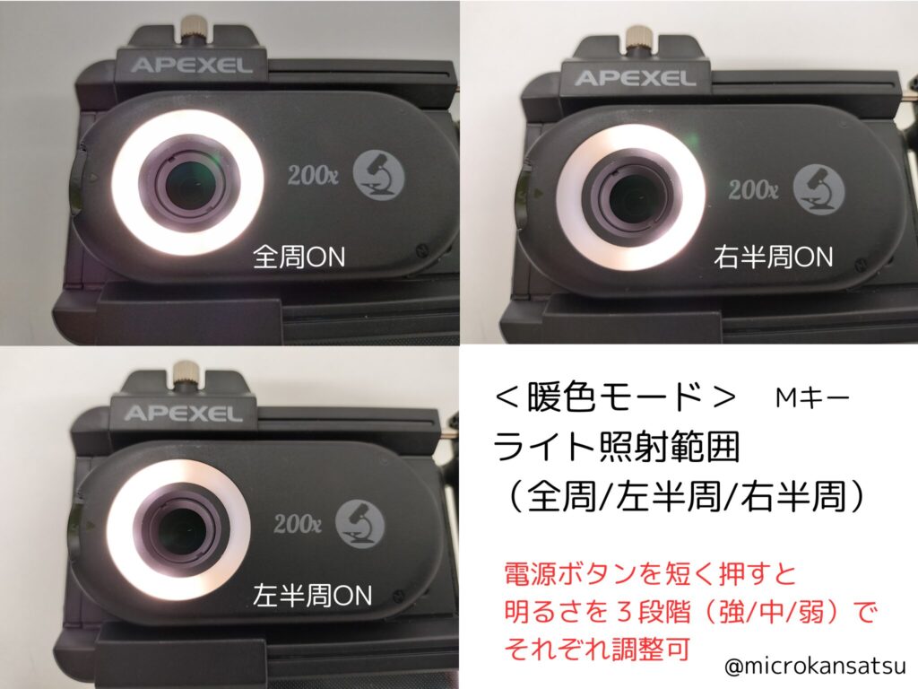 リング