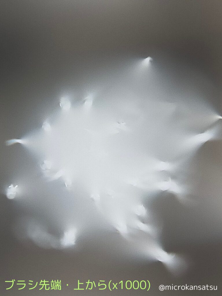 歯ブラシ