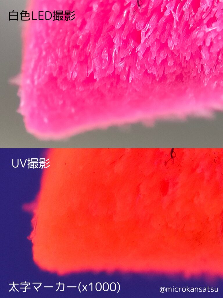 蛍光ペン先