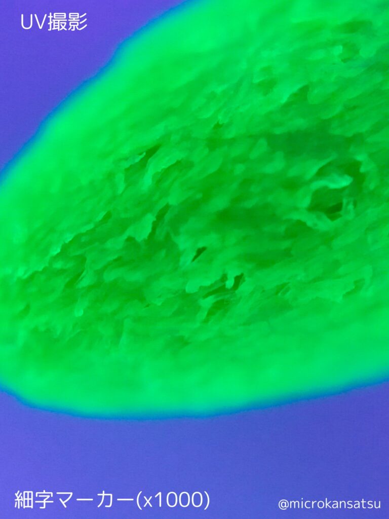 ペン先