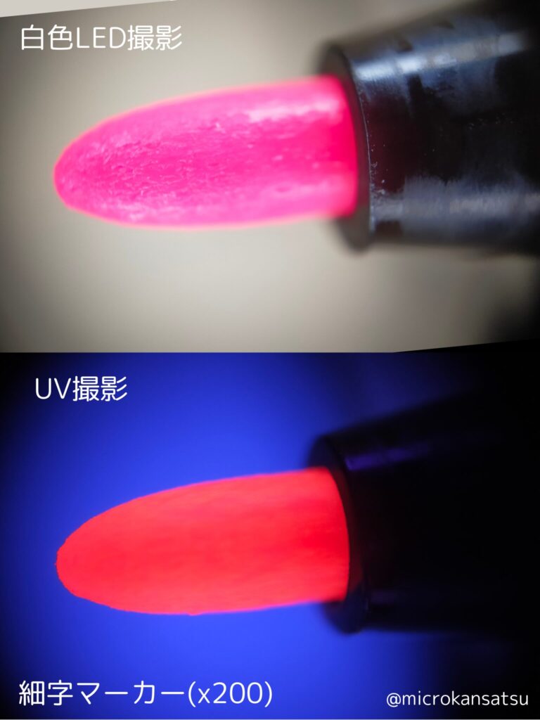 ペン先