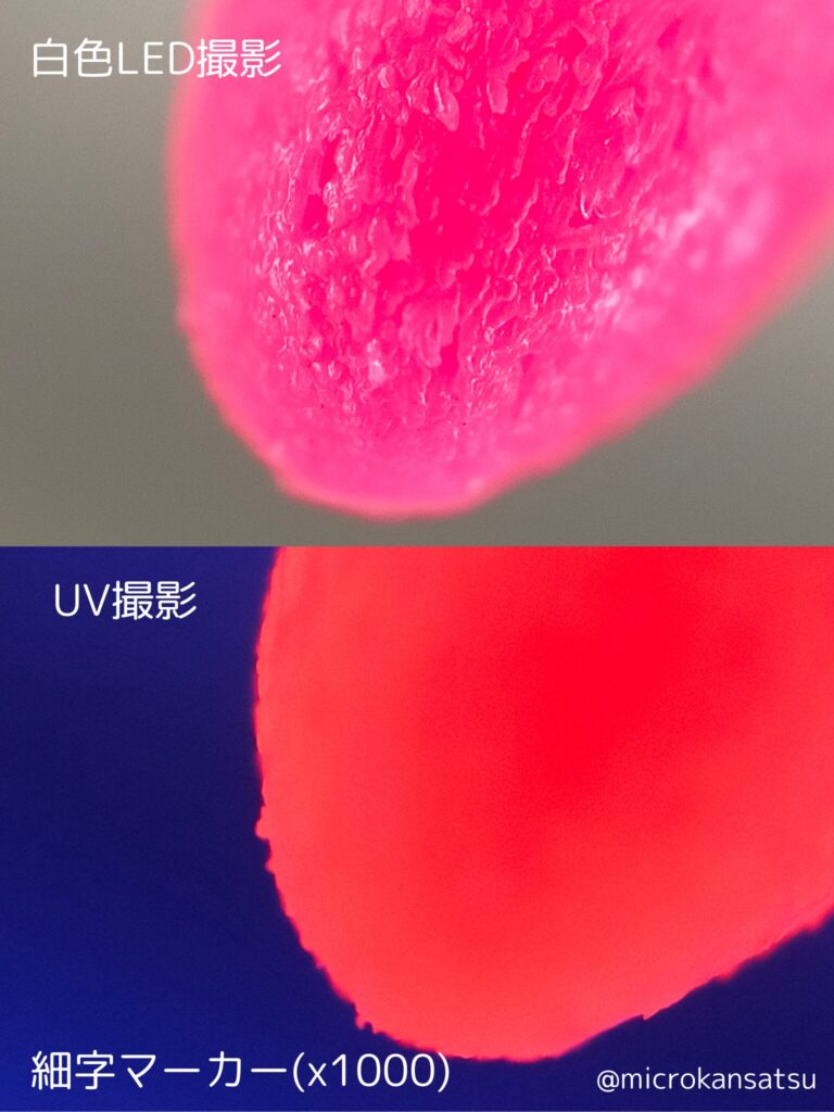 ペン先