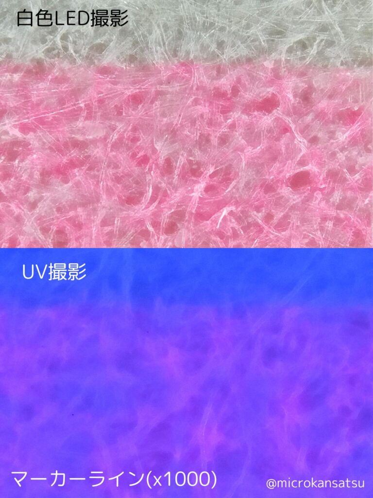 蛍光ペン