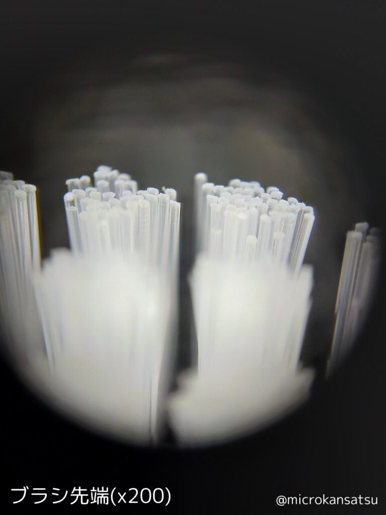 歯ブラシ