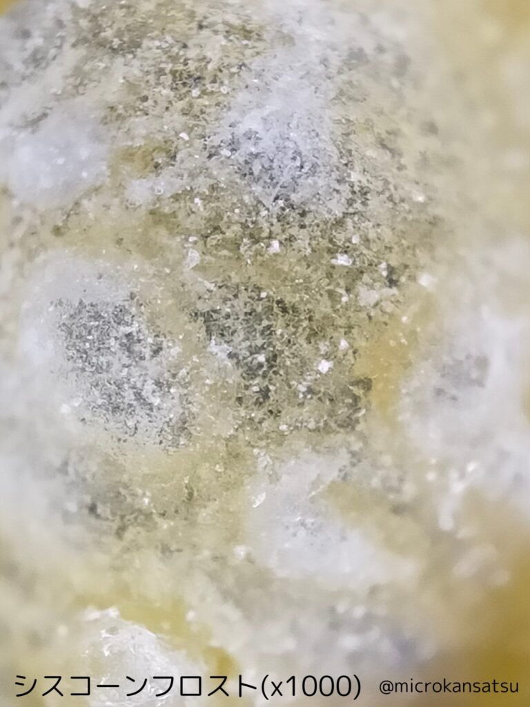 シスコーン