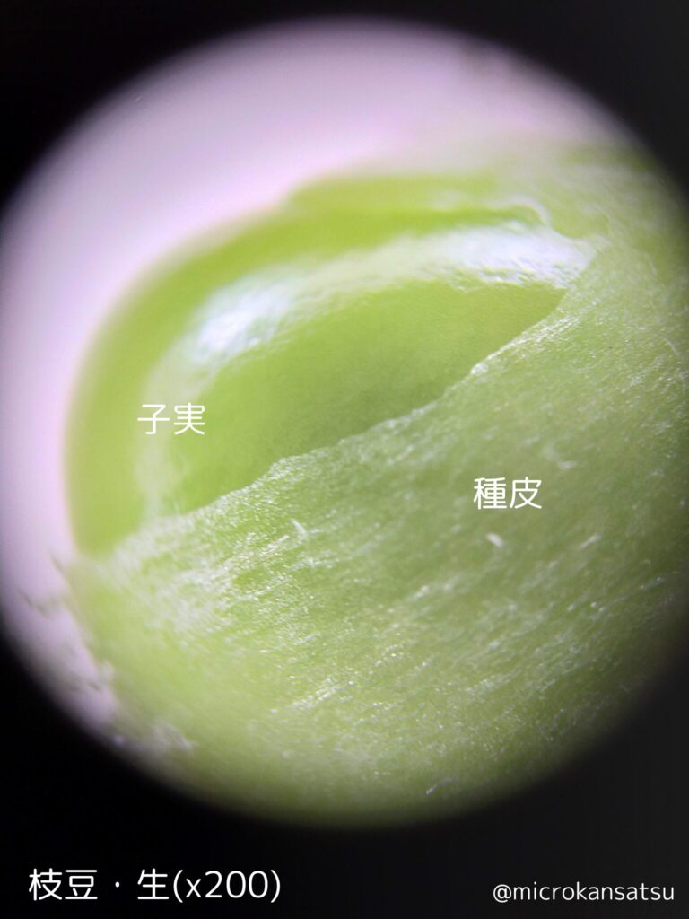 枝豆